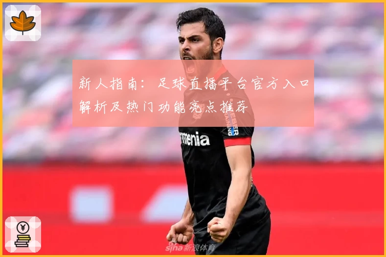新人指南：足球直播平台官方入口解析及热门功能亮点推荐