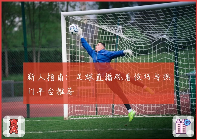新人指南：足球直播观看技巧与热门平台推荐