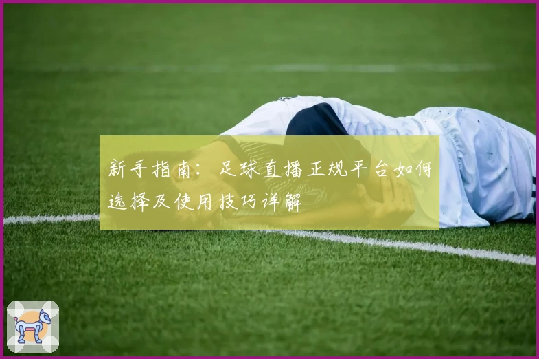 新手指南：足球直播正规平台如何选择及使用技巧详解