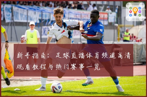 新手指南:足球直播体育频道高清观看教程与热门赛事一览
