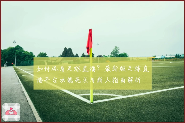 如何观看足球直播？最新版足球直播平台功能亮点与新人指南解析
