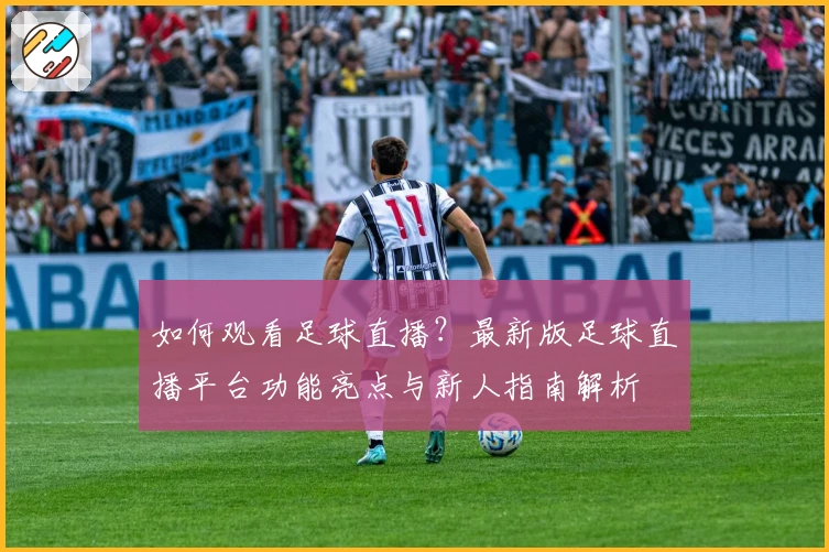 如何观看足球直播？最新版足球直播平台功能亮点与新人指南解析