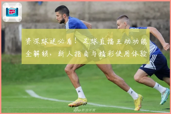 资深球迷必看！足球直播互动功能全解锁，新人指南与精彩使用体验详评