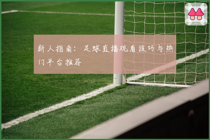 新人指南：足球直播观看技巧与热门平台推荐