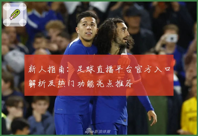 新人指南：足球直播平台官方入口解析及热门功能亮点推荐